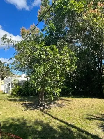 821 NE 120th Street Biscayne Park FL 33161