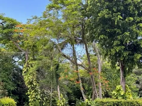 Miami FL 33161