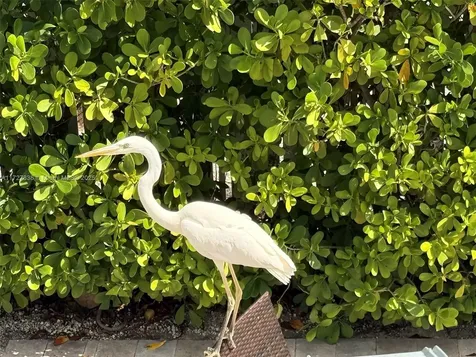 28 Center Lane Key Largo FL 33037