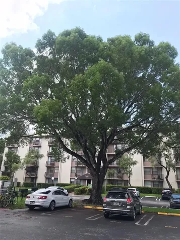 2701 Riverside Drive Coral Springs FL 33065