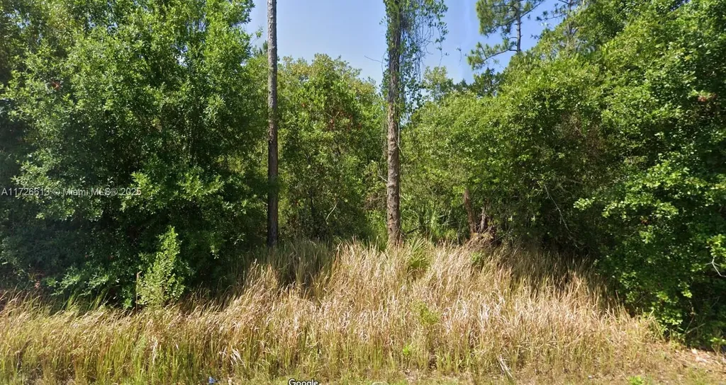8637 Primavera Street Sebring FL 33872