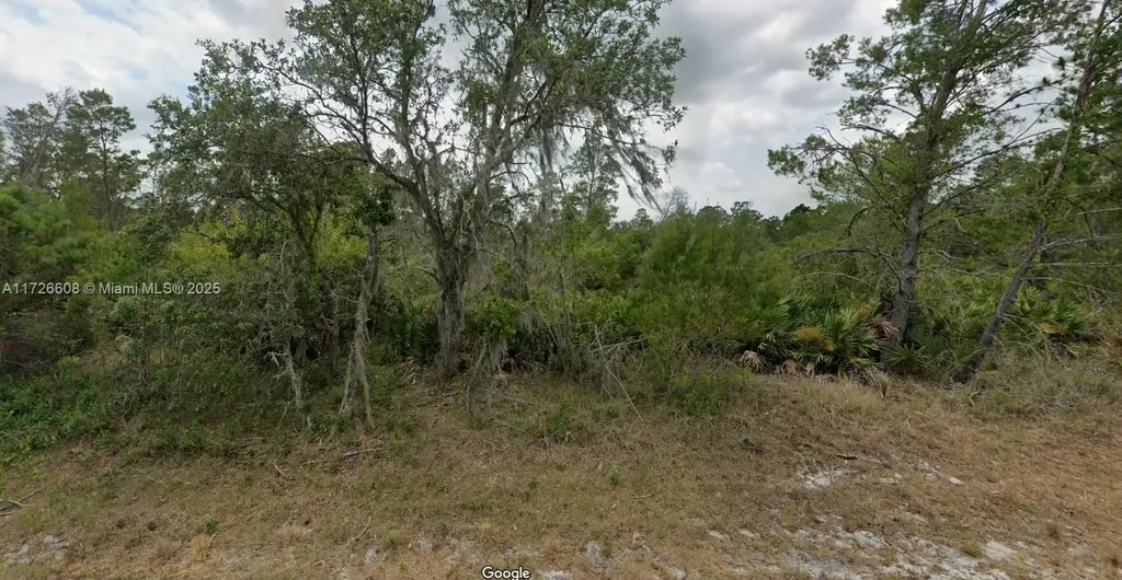 8005 Campo Sano Street Sebring FL 33872