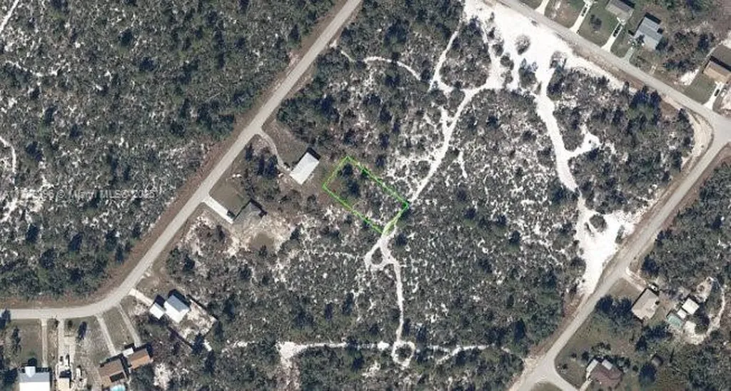 1066 Hughes Avenue Lake Placid FL 33852
