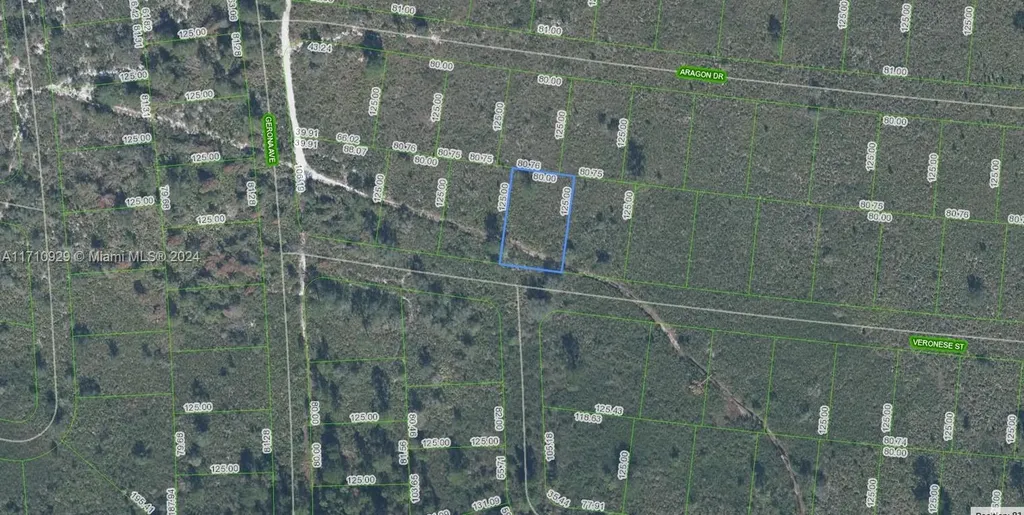 8136 Veronese Street Sebring FL 33872