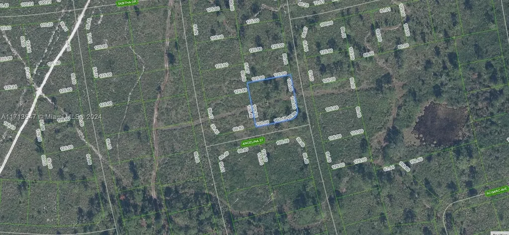 4703 San Pedro Drive Sebring FL 33872