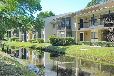 13285 Arbor Pointe Circle Tampa FL 33617