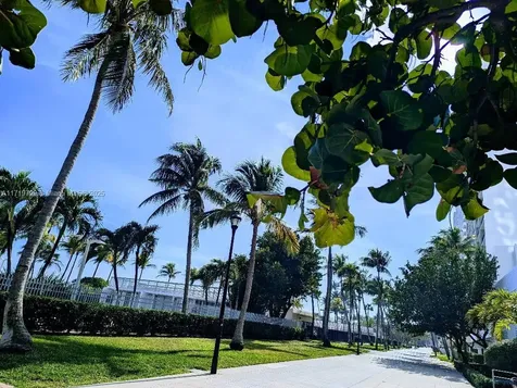 2655 Collins Avenue Miami Beach FL 33140