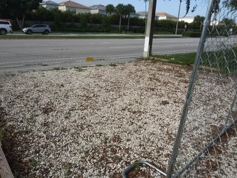 Pembroke Road West Park FL 33023