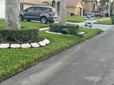 19451 NW 8th Street Pembroke Pines FL 33029