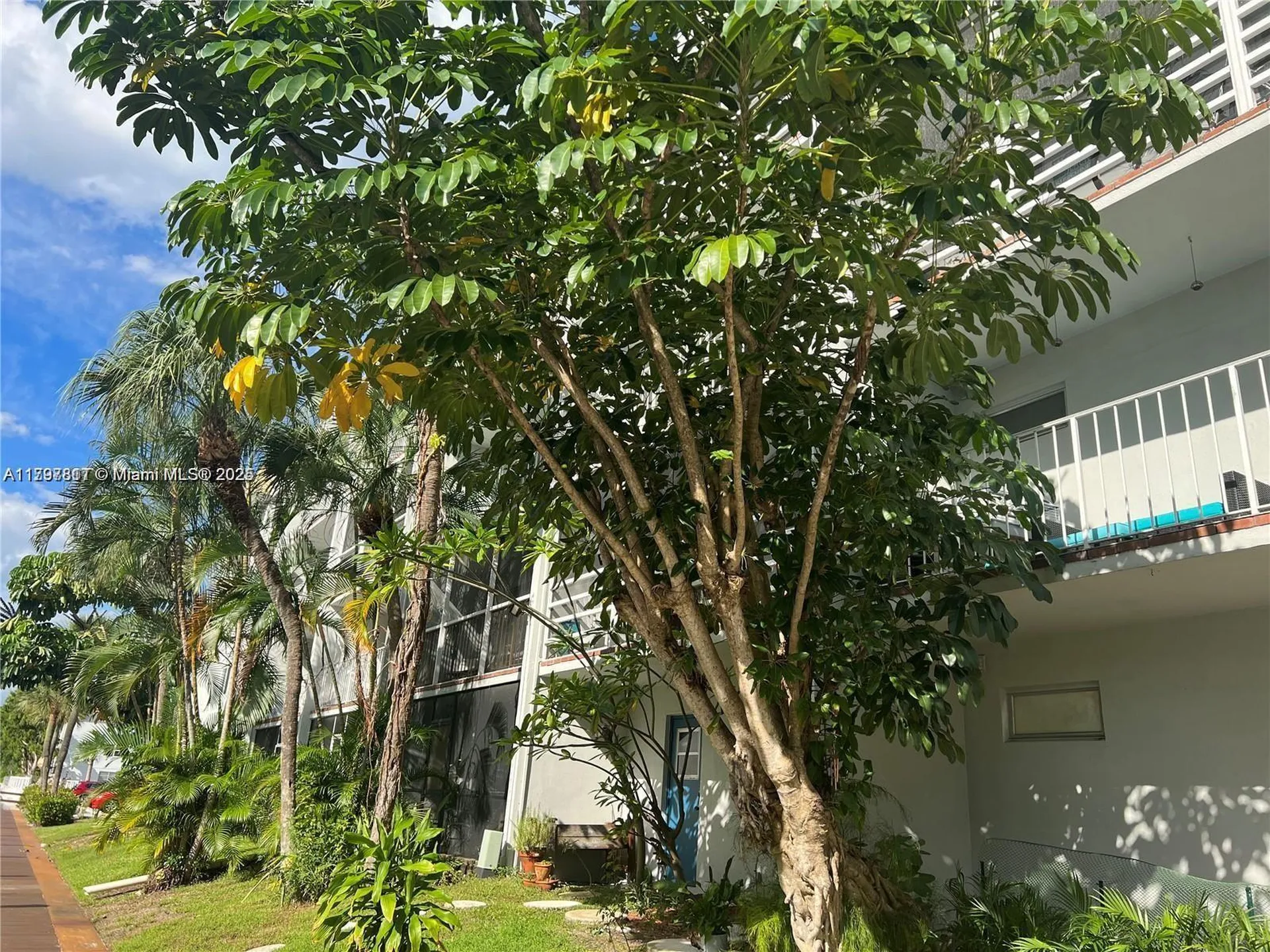 1407 NE 56th Street Fort Lauderdale FL 33334