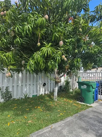 3028 NW 95th Street Miami FL 33147