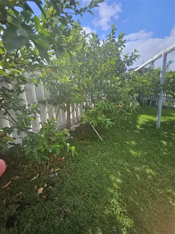 3028 NW 95th Street Miami FL 33147