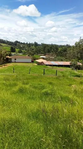 Guarne Vereda Brizuela Other Country - Not In USA FL 054050