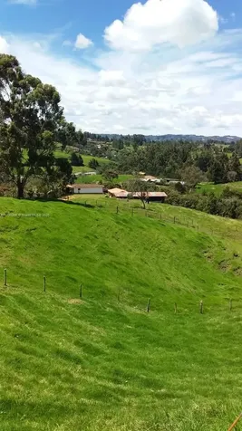 Guarne Vereda Brizuela Other Country - Not In USA FL 054050