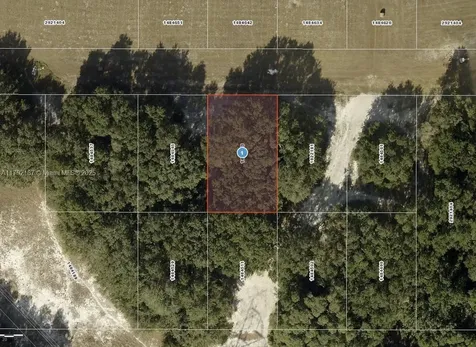 Lady Lake Monterey Other City - In The State Of Florida FL 32159