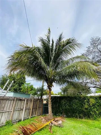 8701 SW 191st Street Cutler Bay FL 33157