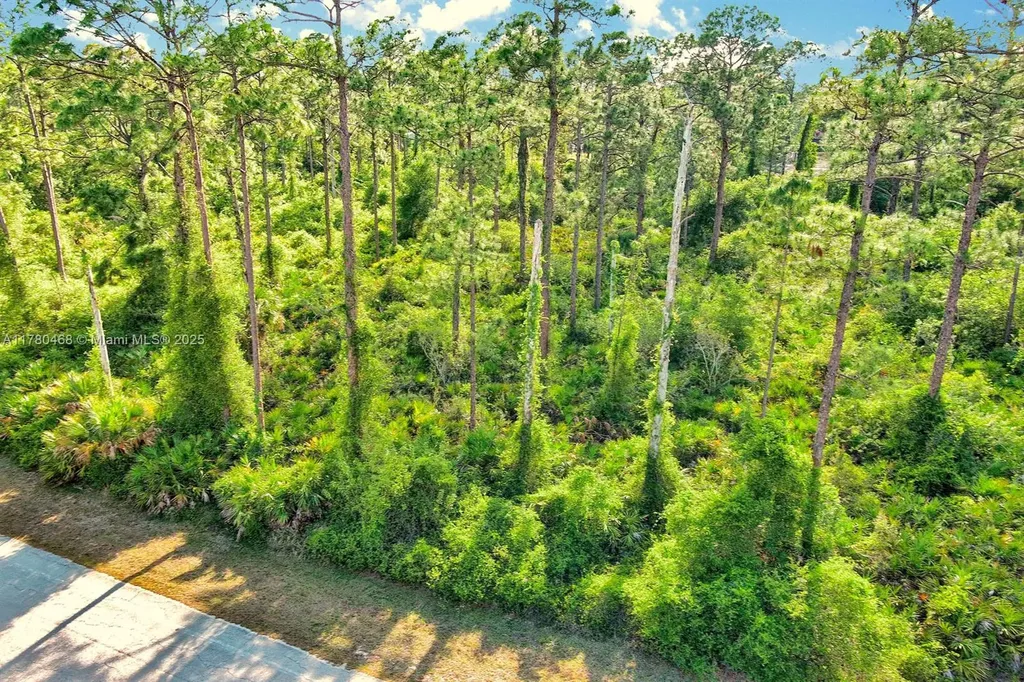 2019 Columbus Avenue Lehigh Acres FL 33920