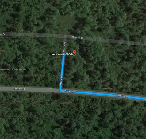 7004 Mona Avenue Sebring FL 33872