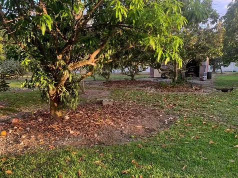 24105 SW 124th Avenue Homestead FL 33032