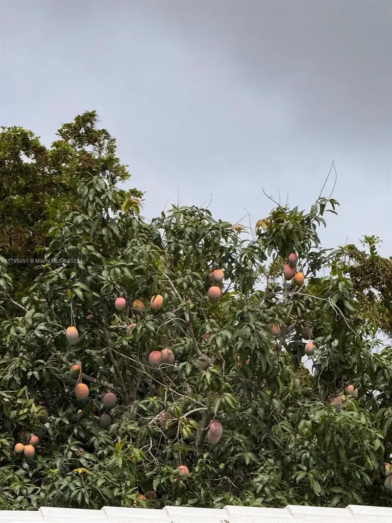 22310 Cameo Drive E Boca Raton FL 33433