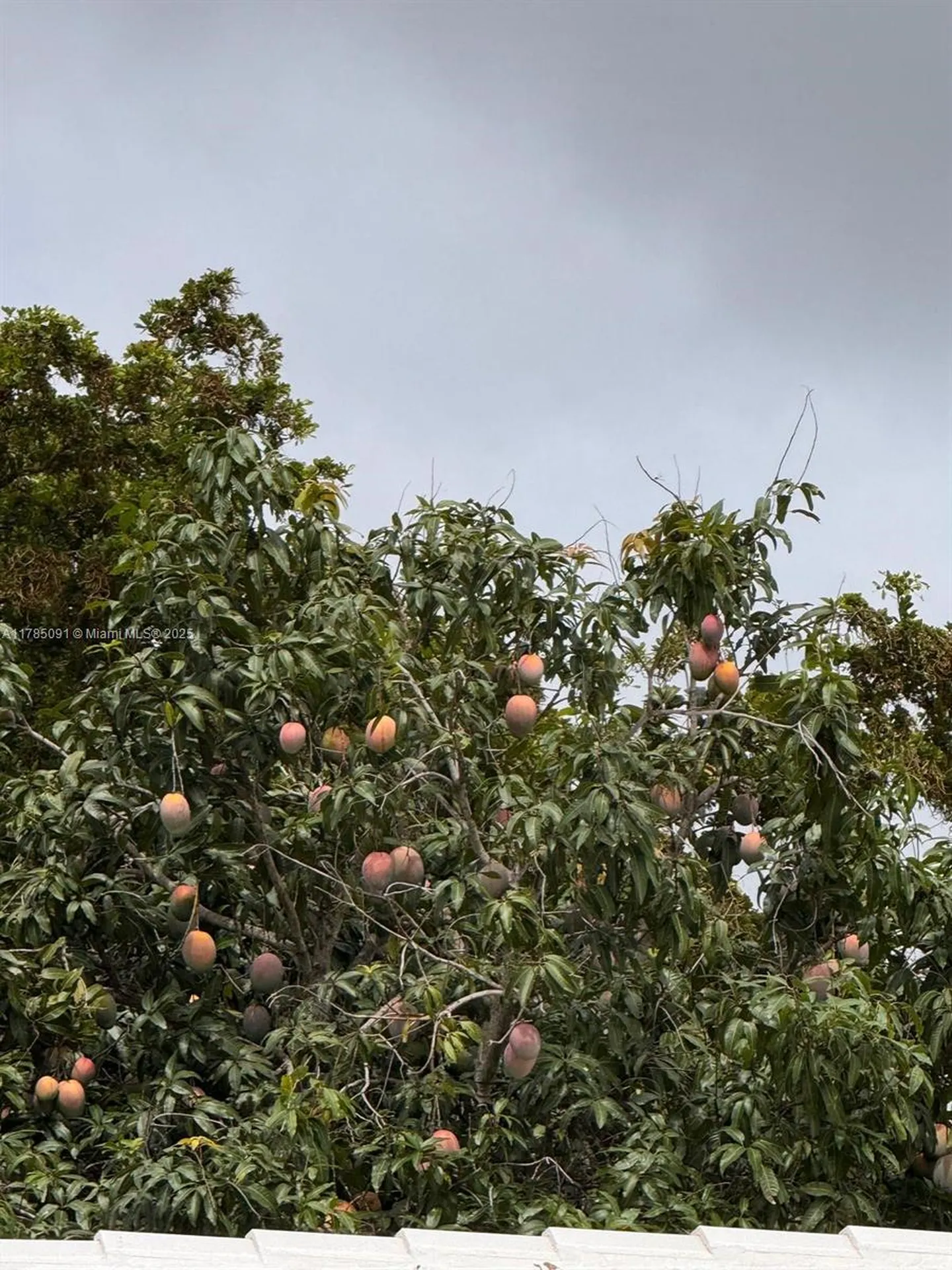 22310 Cameo Drive E Boca Raton FL 33433