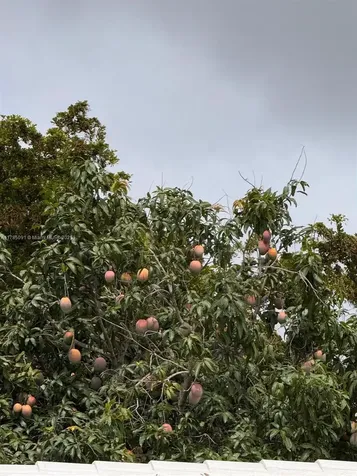 22310 Cameo Drive E Boca Raton FL 33433