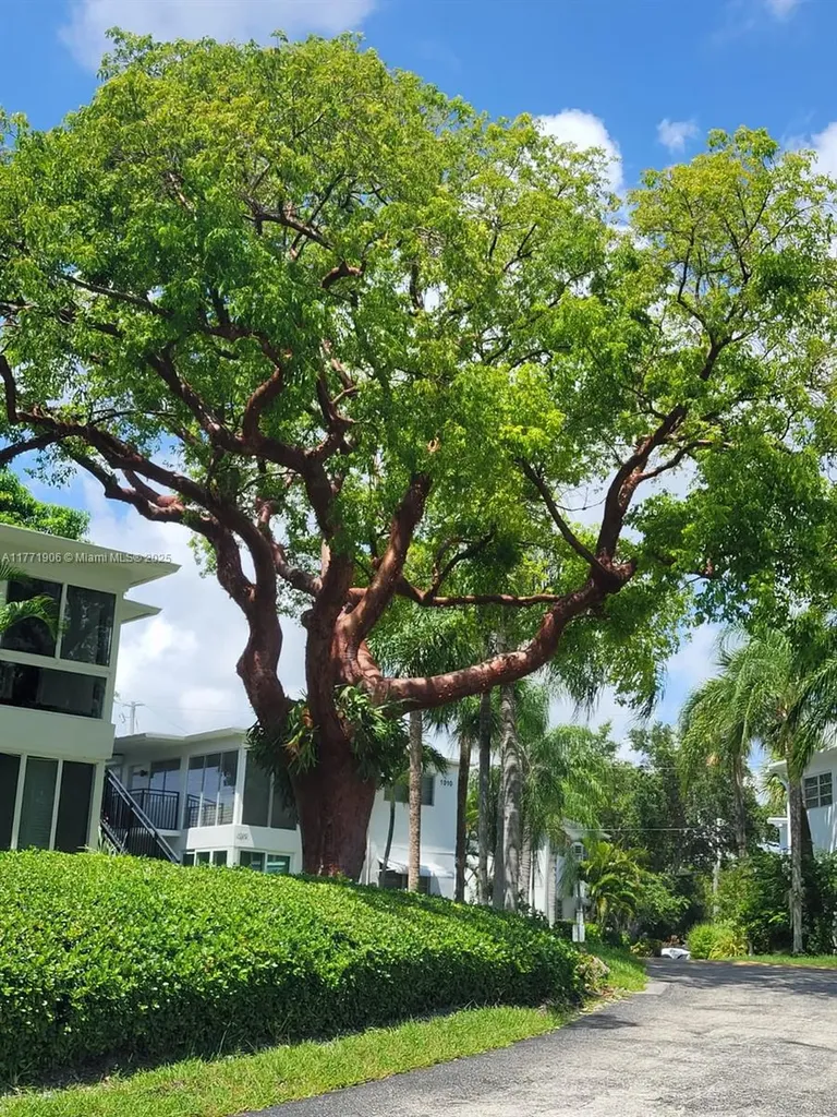 1001 SE 14th Place Fort Lauderdale FL 33316