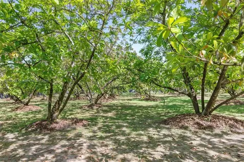 25600 SW 197th Avenue Homestead FL 33031