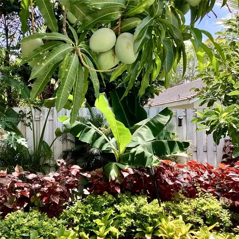 1416 Mira Vista Circle Weston FL 33327