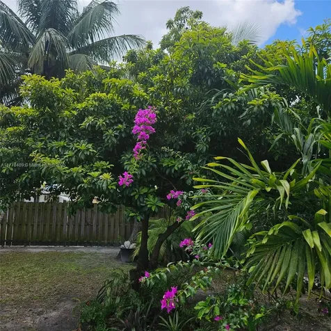 3950 SW 53rd Avenue Davie FL 33314
