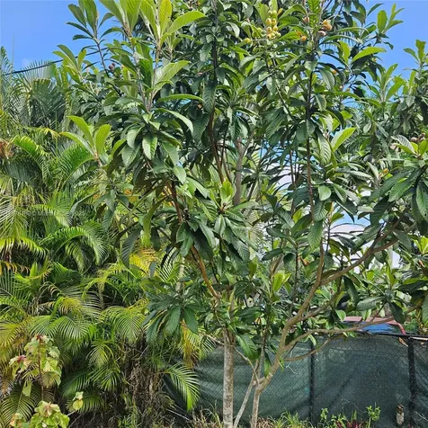 3950 SW 53rd Avenue Davie FL 33314