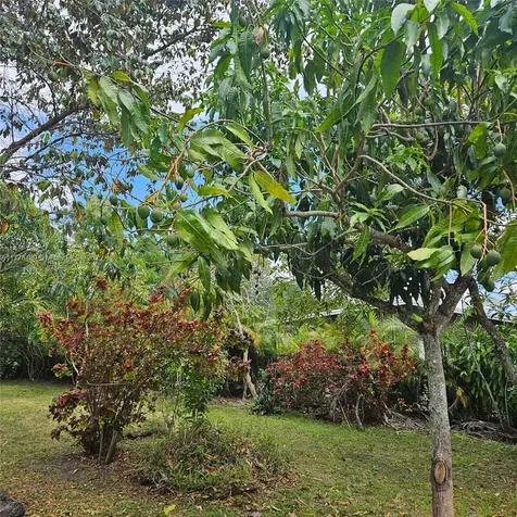 3950 SW 53rd Avenue Davie FL 33314