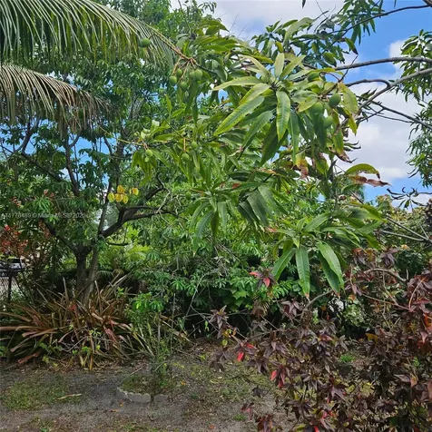 3950 SW 53rd Avenue Davie FL 33314