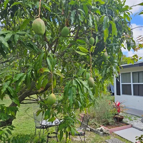 3950 SW 53rd Avenue Davie FL 33314