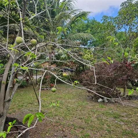 3950 SW 53rd Avenue Davie FL 33314