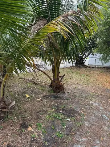 3859 NW 207th Street Road Miami Gardens FL 33055