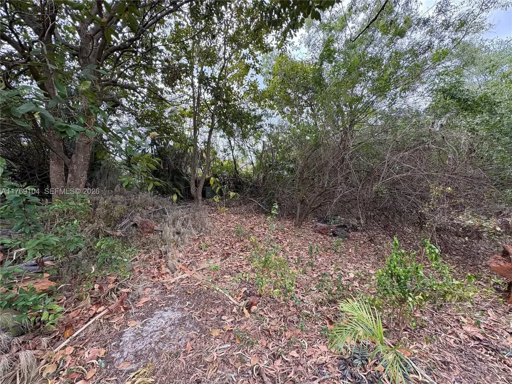 30XX Forest Hills Drive Coral Springs FL 33065