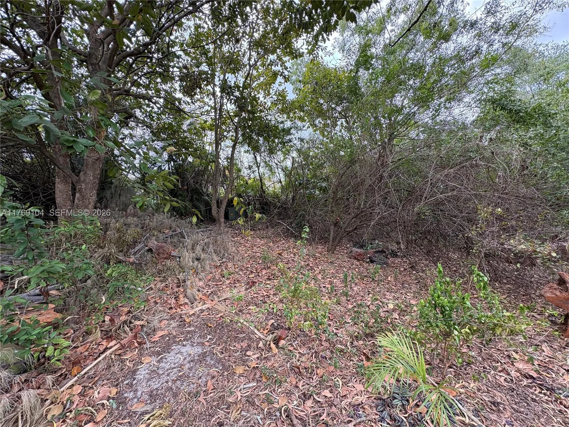 30XX Forest Hills Drive Coral Springs FL 33065
