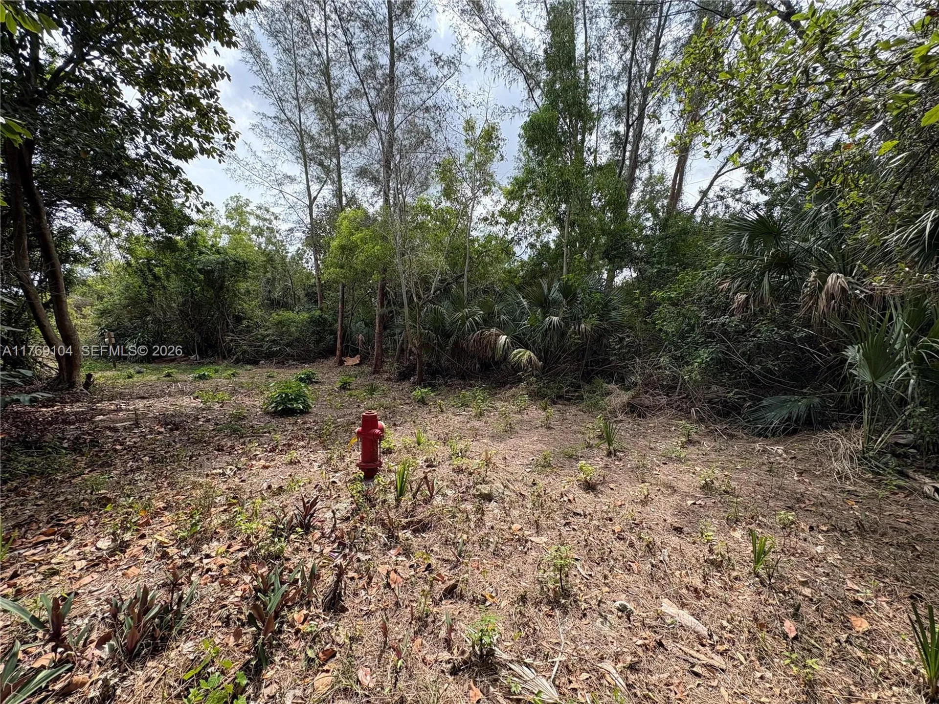30XX Forest Hills Drive Coral Springs FL 33065
