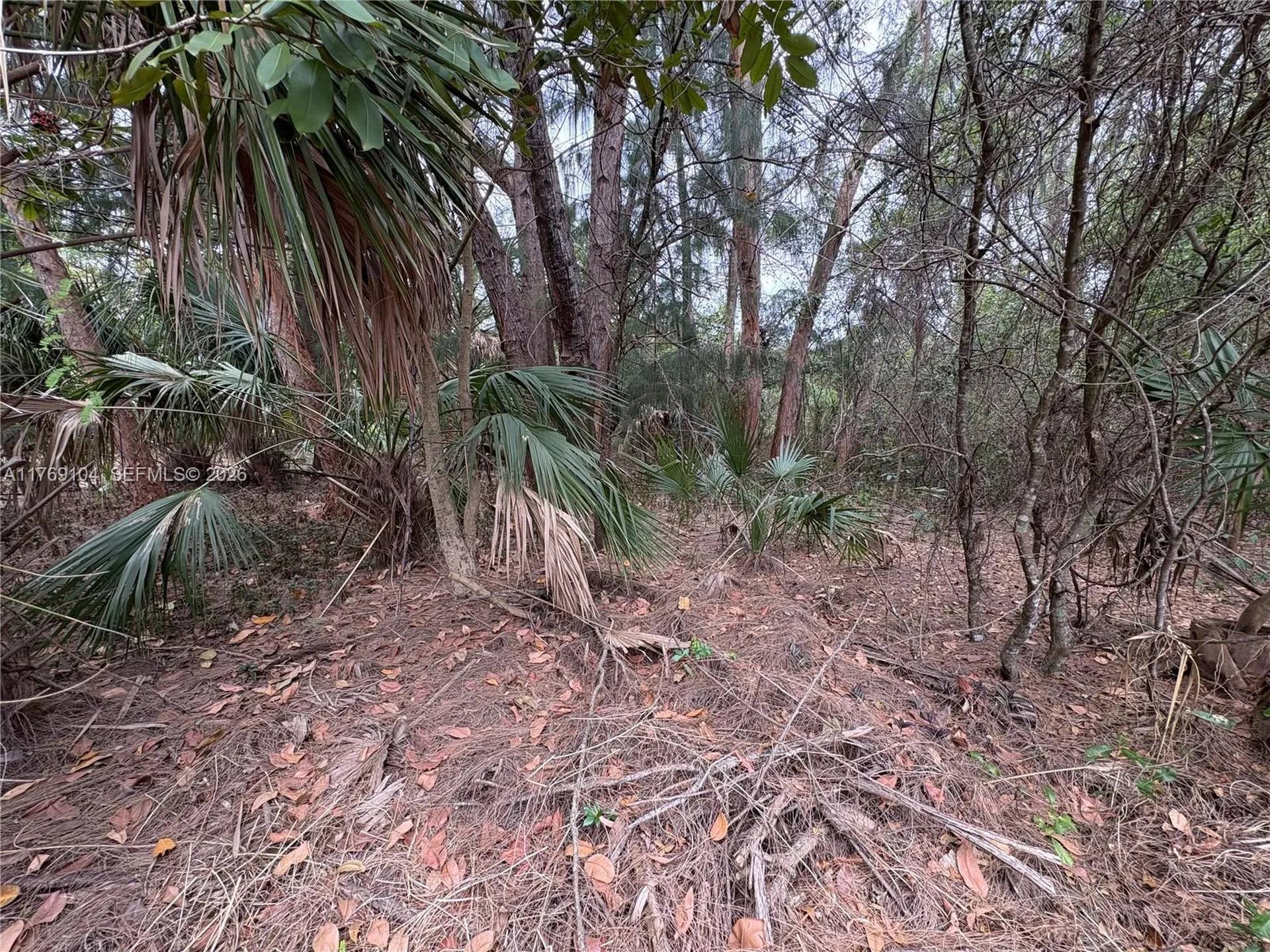 30XX Forest Hills Drive Coral Springs FL 33065