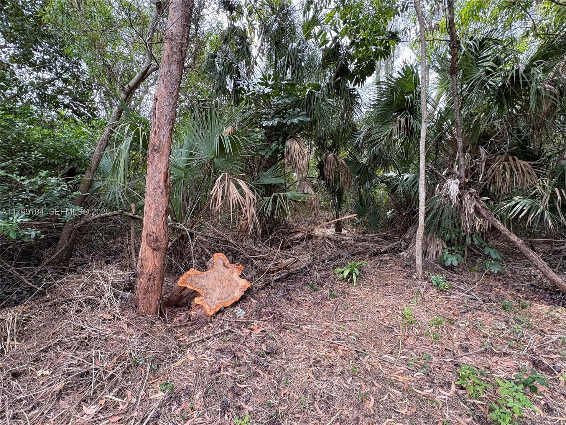 30XX Forest Hills Drive Coral Springs FL 33065