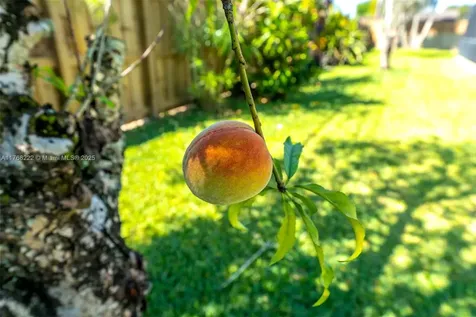 240 NW 19th Street Homestead FL 33030
