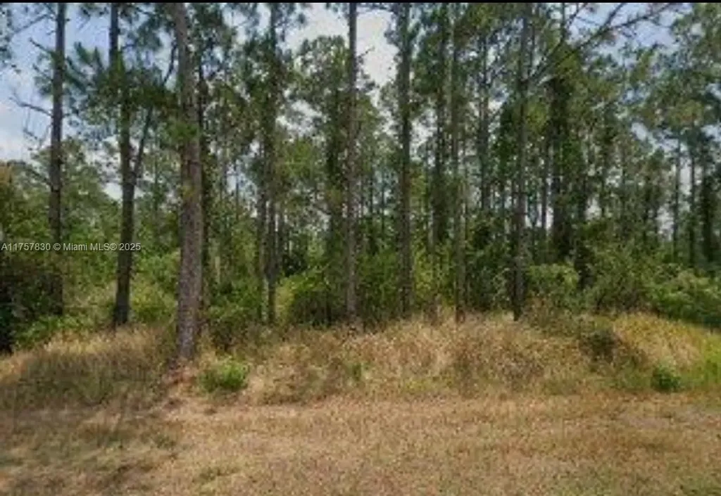 5112 Manati Avenue Sebring FL 33872