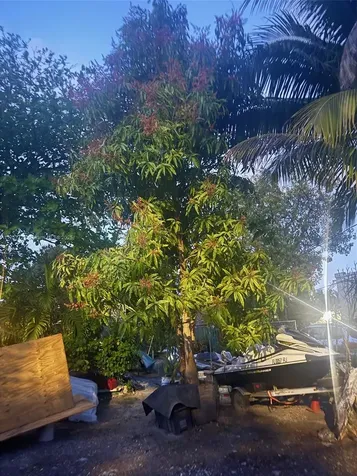 1251 NW 29th Terrace Miami FL 33142