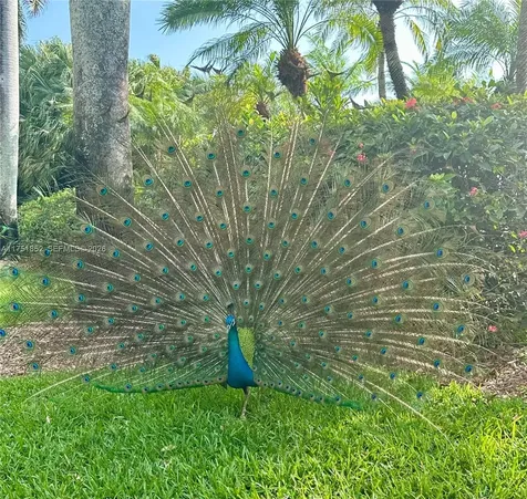 13633 Deering Bay Drive Coral Gables FL 33158