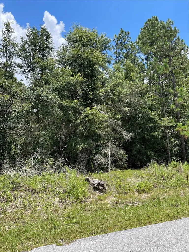 Tbd SW 59th Lane Other City - In The State Of Florida FL 34431