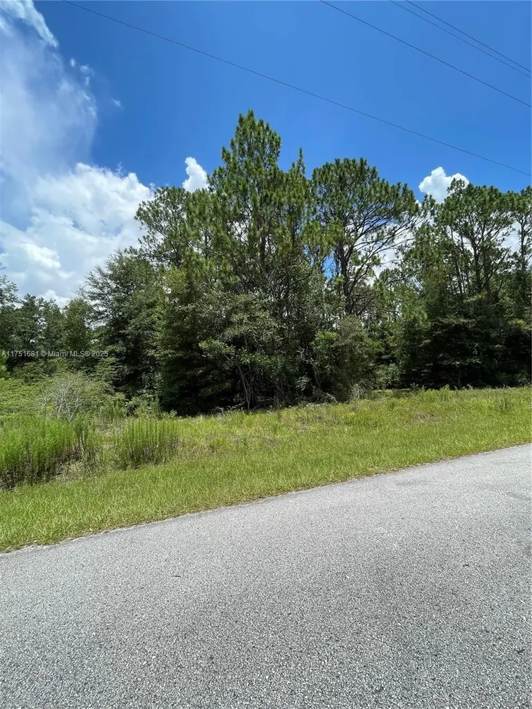 Tbd SW 59th Lane Other City - In The State Of Florida FL 34431