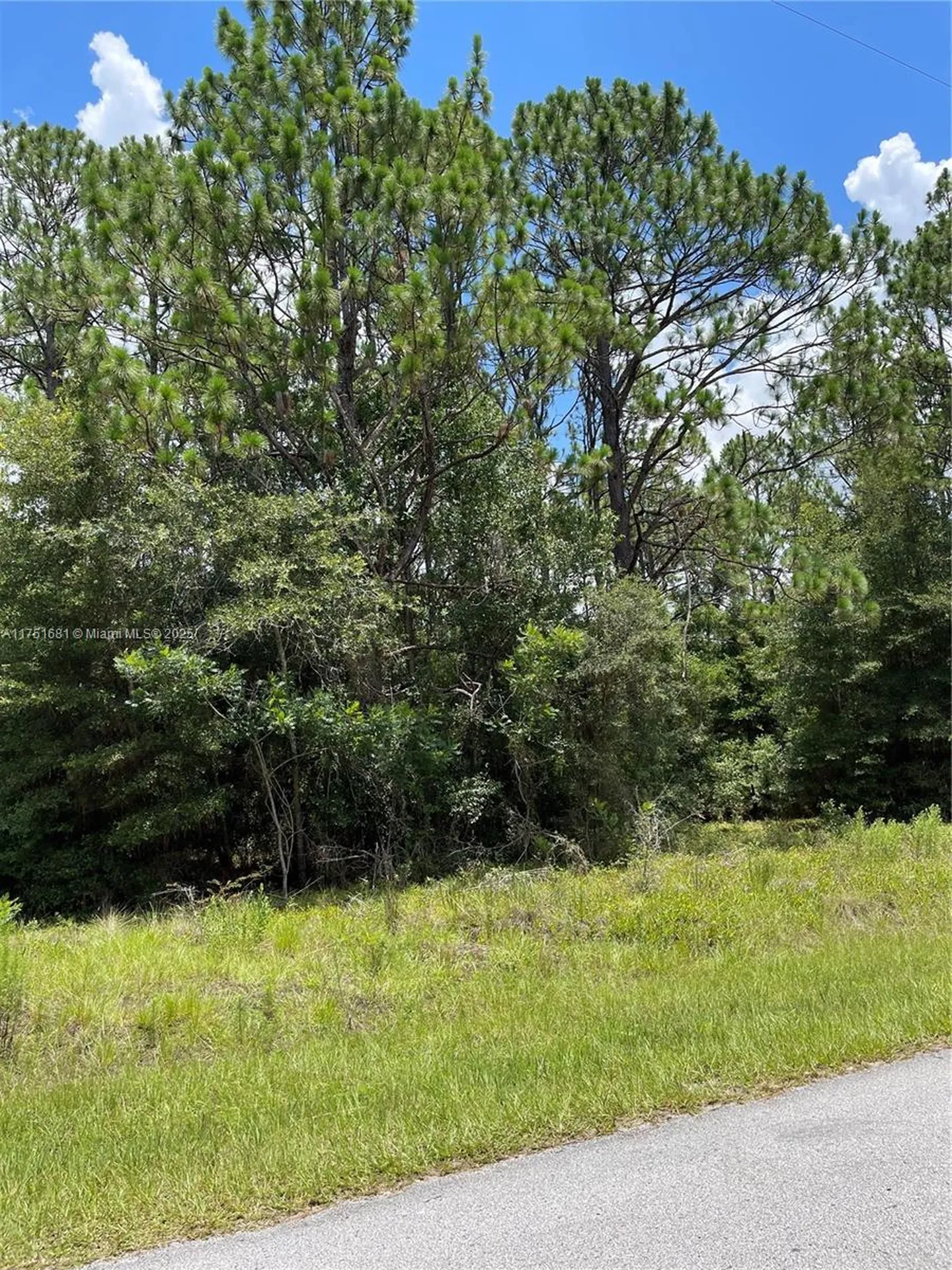 Tbd SW 59th Lane Other City - In The State Of Florida FL 34431