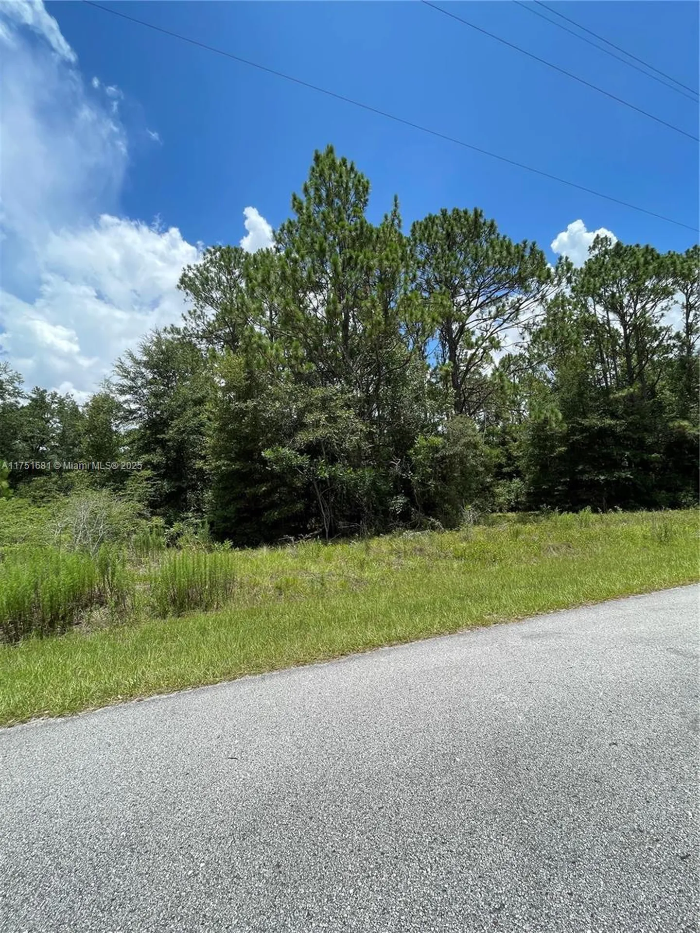 Tbd SW 59th Lane Other City - In The State Of Florida FL 34431