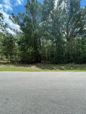 Tbd SW 59th Lane Other City - In The State Of Florida FL 34431